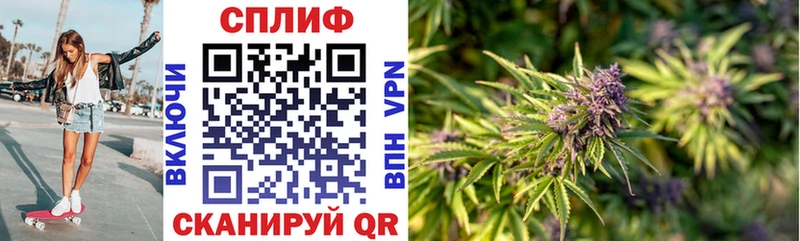 даркнет сайт  Бологое  Бошки марихуана White Widow 